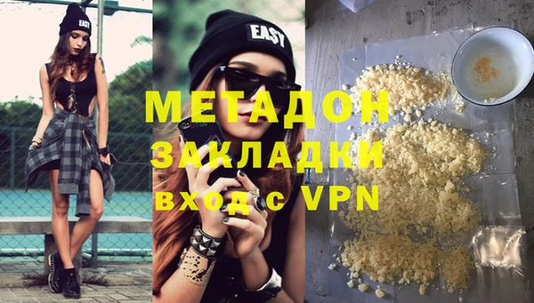 прущие грибы Аркадак