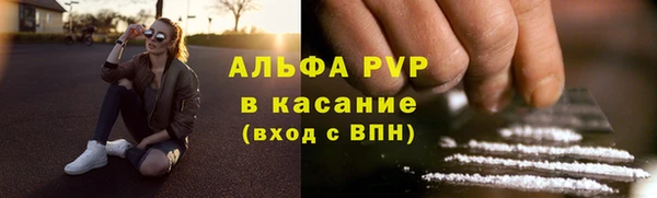 прущие грибы Аркадак