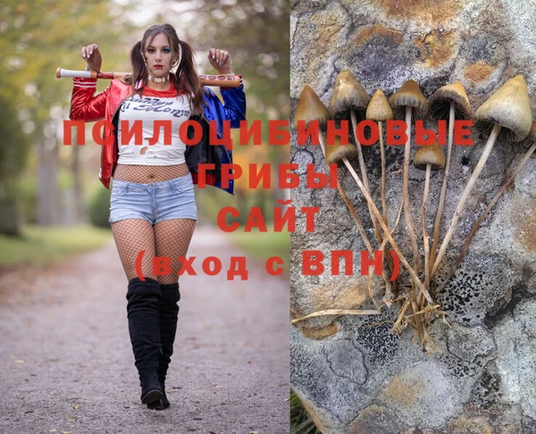 скорость Арсеньев