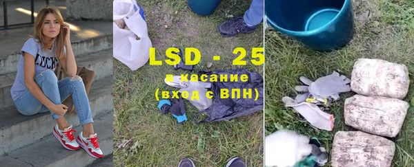 прущие грибы Аркадак