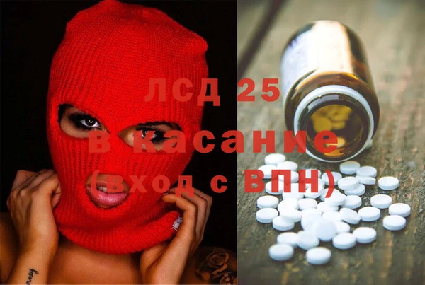 прущие грибы Аркадак