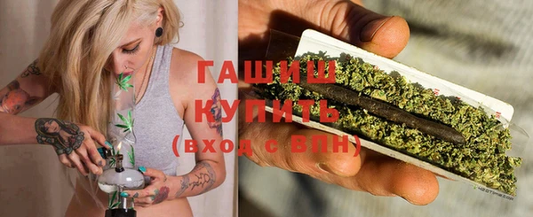 прущие грибы Аркадак