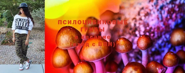 прущие грибы Аркадак
