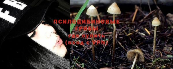 кокс Армянск